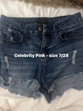 Celebrity Pink Blue Distressed Frayed Hem Denim Shorts